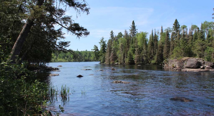 Evergreen trees frame a body of water